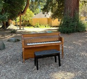 Piano in the park