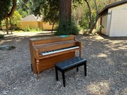 Piano in the park