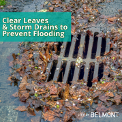 Clear leave & storm drains to prevent flooding