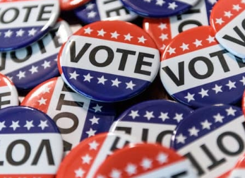Voting pins