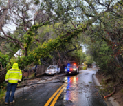 Emergency response teams assisting with a fallen tree