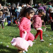Egg hunt
