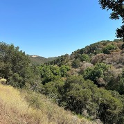 Waterdog Lake Open Space