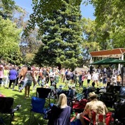 Summer Concert Series