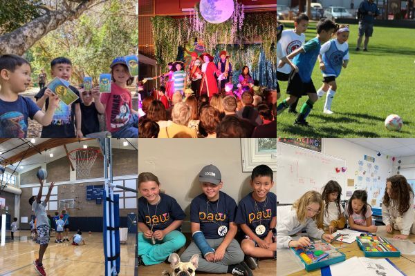 Youth Summer Scholarships