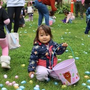 Traditional and Adaptive Egg Hunt