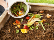 compost
