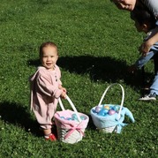 Egg Hunts 2026