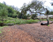 Twin Pines Park Fuel Reduction