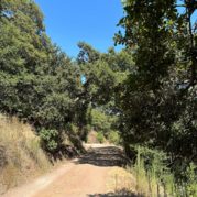 Water Dog Lake Trail