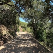 Trail closure