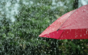 umbrella in the rain
