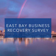 EDA Covid-19 Impacts survey