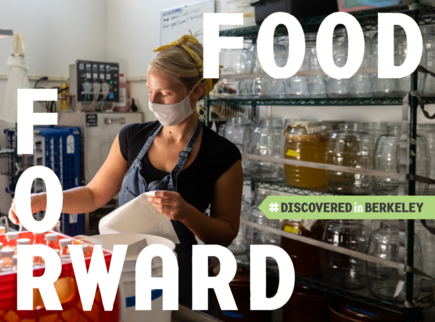 Three Stone Hearth DiB