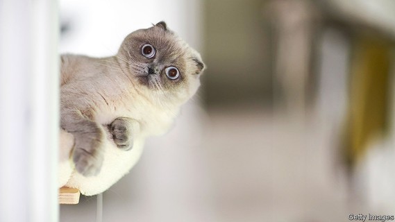 Wild Earth in The Economist