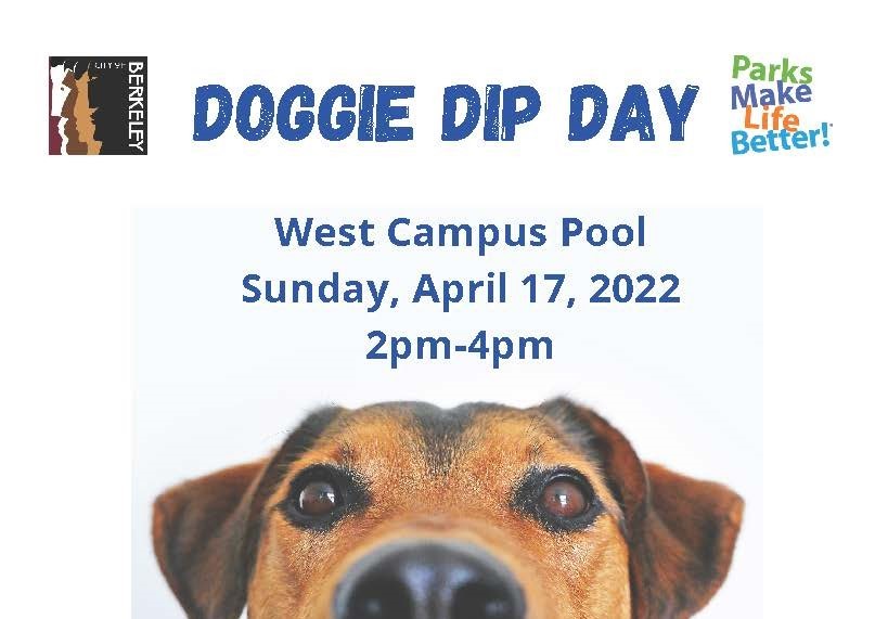 Doggie Dip Day at West Campus Pool