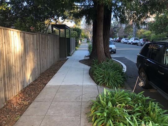 KELSEY After Photo T1 