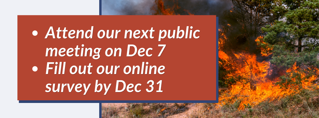 Help develop an Action Plan to reduce wildfire hazards and risks