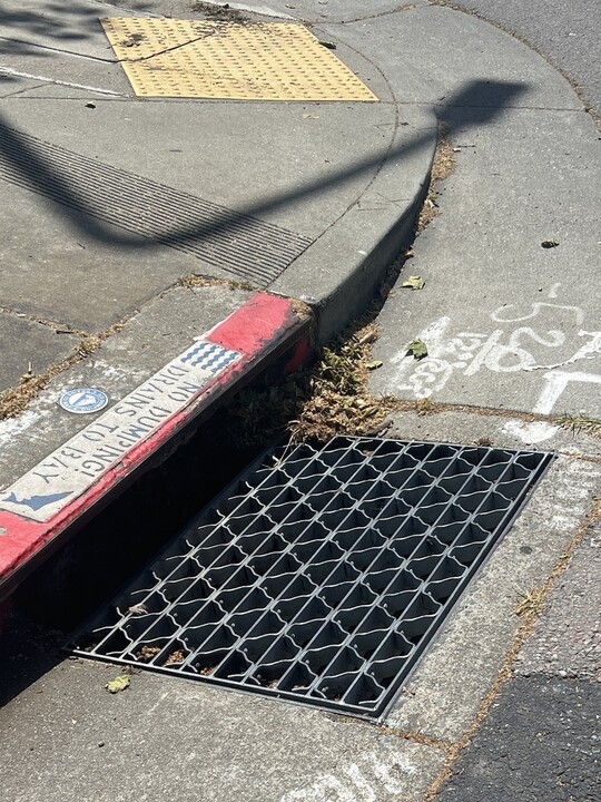 A storm drain basin in Berkeley with scattered debris.