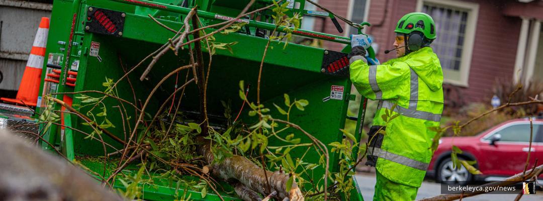 Protect your home by using services to remove vegetation
