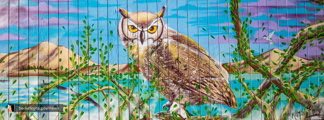 Owl wall mural by Kili Munoz