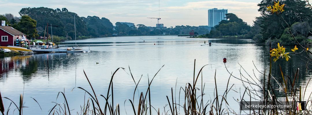 Shape the future, give input for public art at Aquatic Park