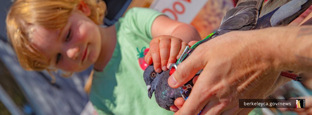 Child gently touches pigeon