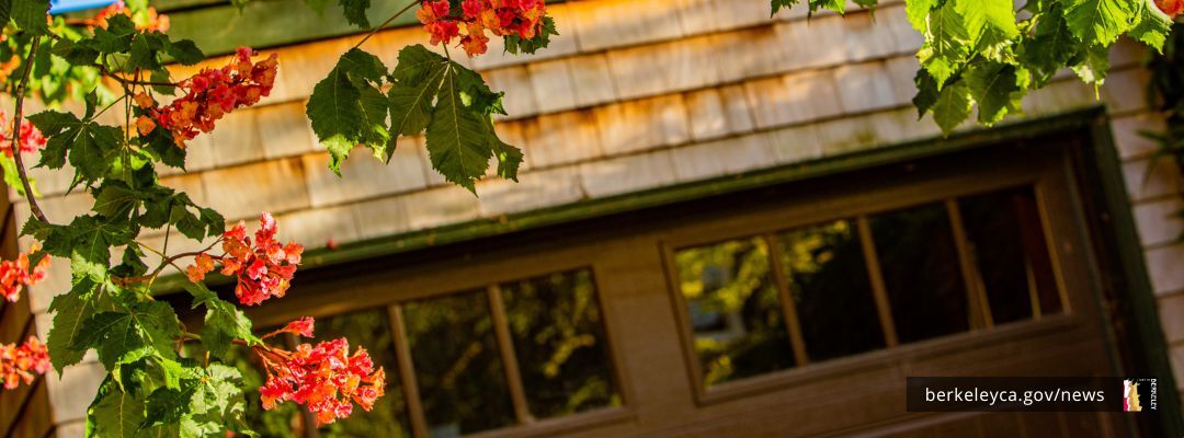 Brown shingled home framed by flowers