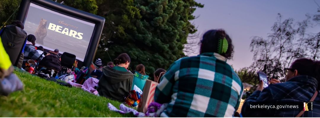 Outdoor cinema and discussion: documentary about bears in the wild