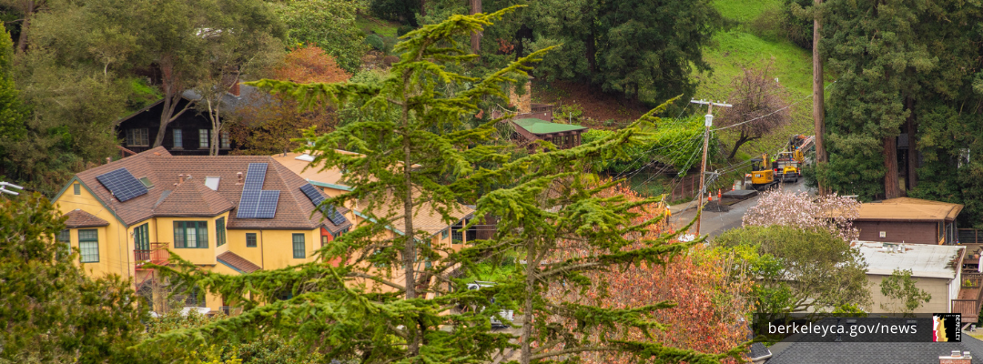 Create a buffer zone, or Defensible space, around your property to protect against wildfires