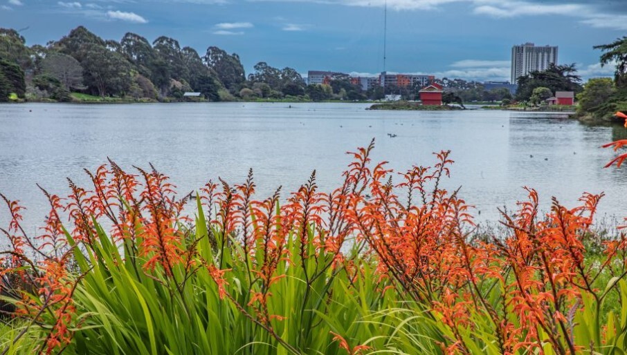 Aquatic Park Boathouse with flowers photo