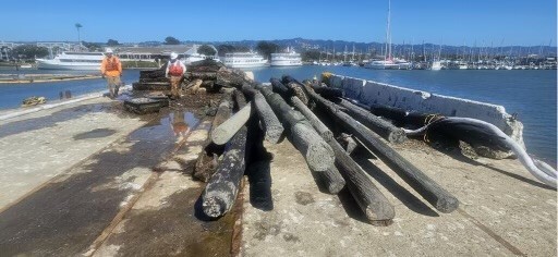 D & E Dock Demo- Piles photo