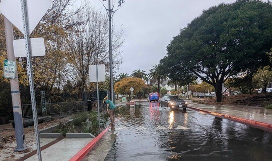 community member clearing a drain inlet to prevent flooding