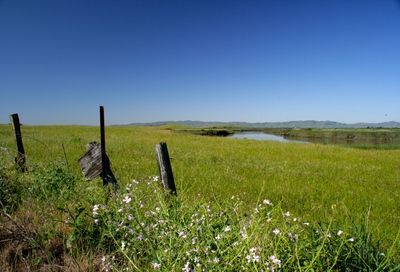 The Suisun Marsh