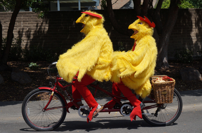 Chickens and bicycles go together