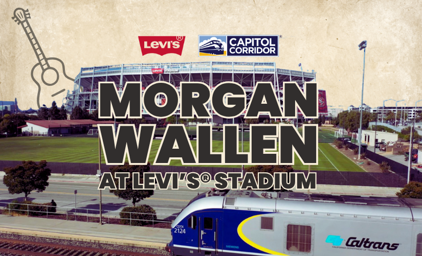 Morgan Wallen Concert