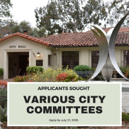 Applicants Sought for Committees 