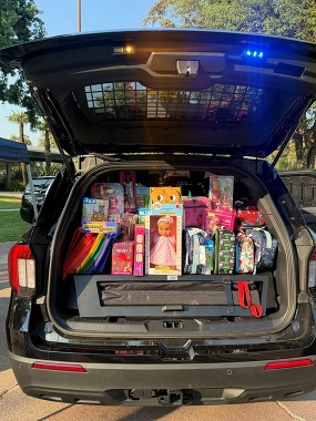 NNO Stuff a Police Car