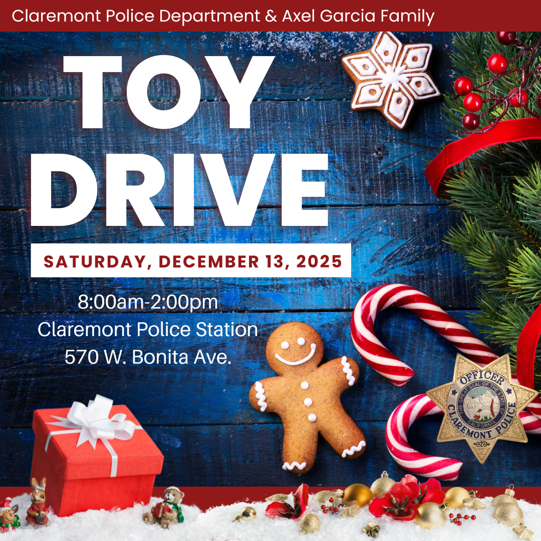 Toy Drive 