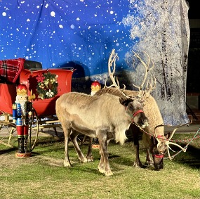 Holiday Promenade 2025
