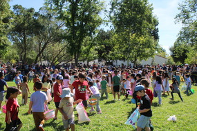 spring egg hunt pic