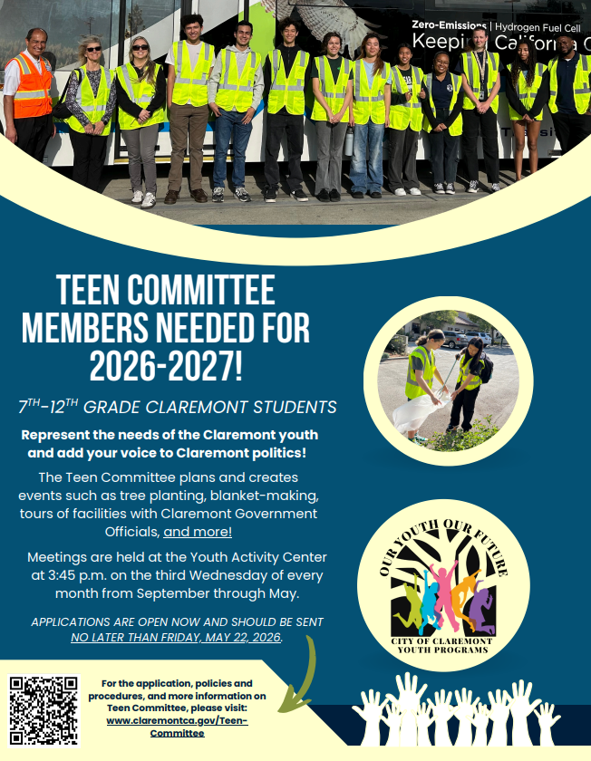 teen committee application