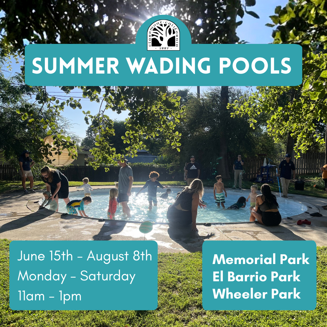 wading pool graphic