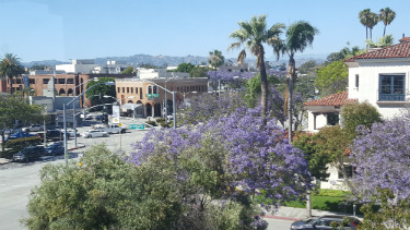 Downtown Culver City