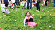 Egg Hunt