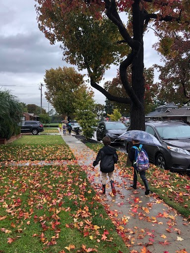 Students walking to school with fall leaves