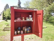 small food pantry in yard with canned and boxed groceries inside