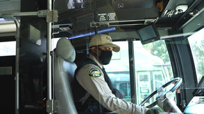 Bus Operator with Mask Driving Bus