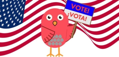 Patriotic Birdee with American Flag 