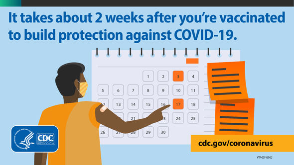 It takes about 2 weeks after you're vaccinated to build protection against COVID-19.